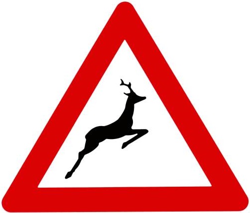Wild Animals Crossing Ahead