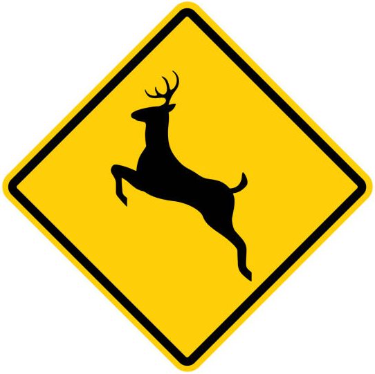 Deer Crossing Ahead